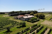 D4706, Family vineyard + country house