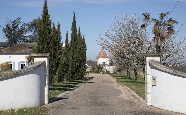 Driveway Bellevue